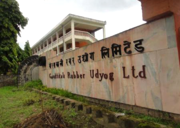 निजीक्षेत्रलाई विश्वस्त बनाउने अर्थतन्त्रको खोजी