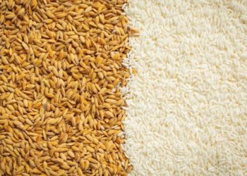 धान चामलको आयातमा उल्लेख्य बृद्धि