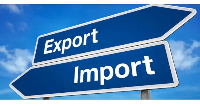 वीरगञ्ज भन्सार आयात निर्यात मै अगाडि