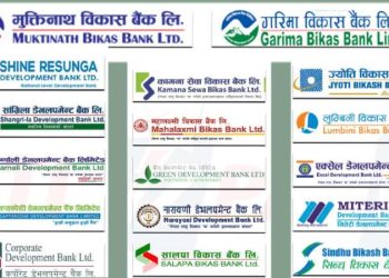 विकास बैंकको निष्क्रिय कर्जा झण्डै ६ प्रतिशत